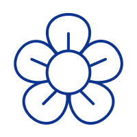 Nature_Plant_PlumFlower